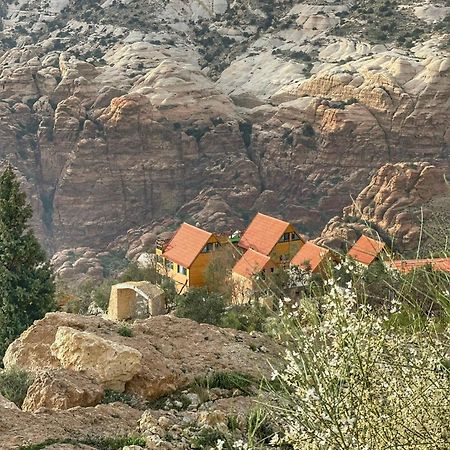 ホテル Dana Luxury Huts エクステリア 写真